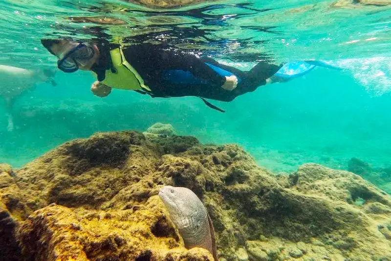 Snorkeling at Hanauma Bay