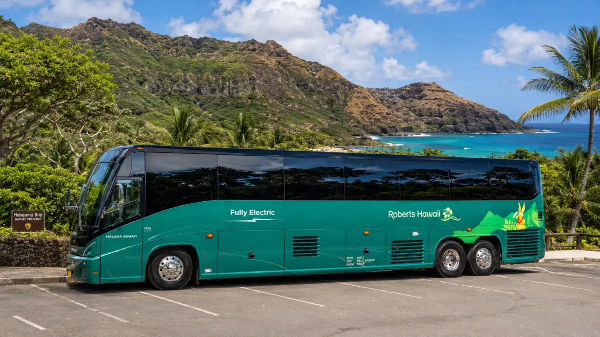 Guided Tours and Transportation