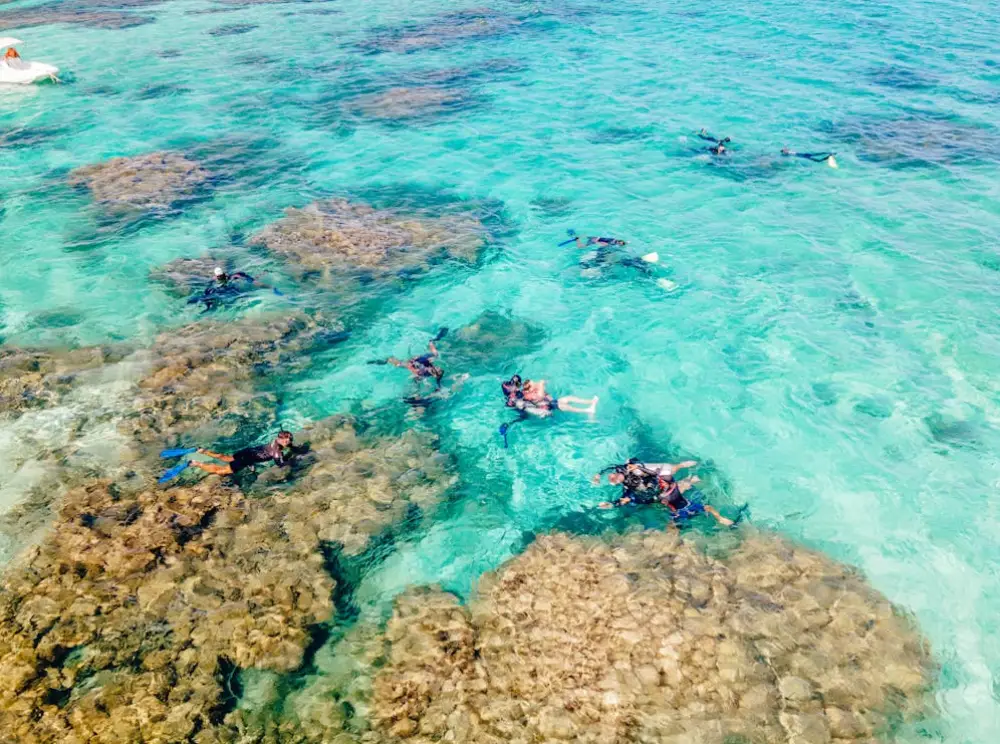 Snorkeling at Hanauma Bay Nature Preserve